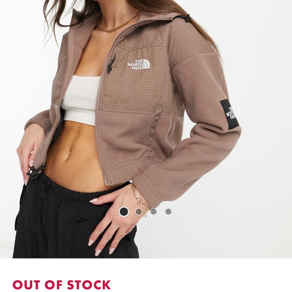 the north face womens jacket